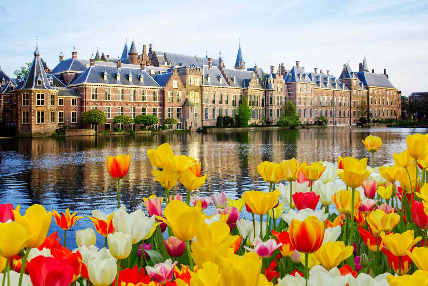 Netherlands highway and landscape